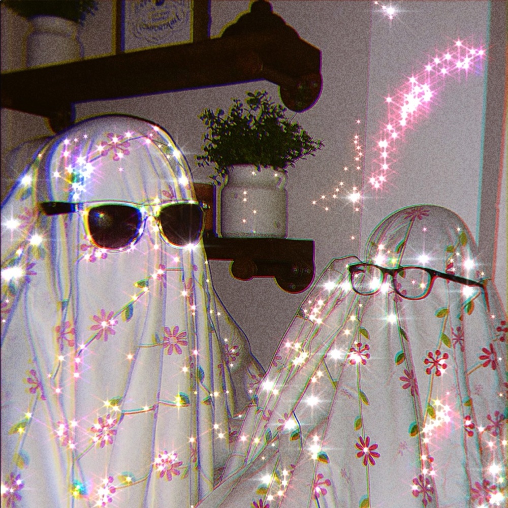 Meet your Posher, Allie